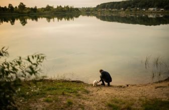 pet spay neuter timing advice